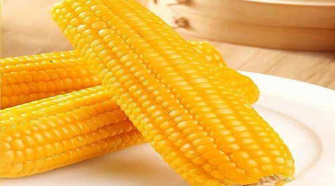 软糯黄玉米